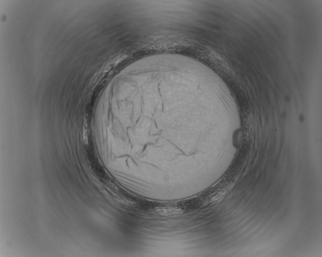 X0000067510644200605051830