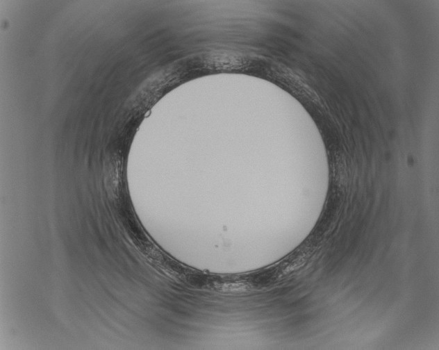 X0000067510645200605051830