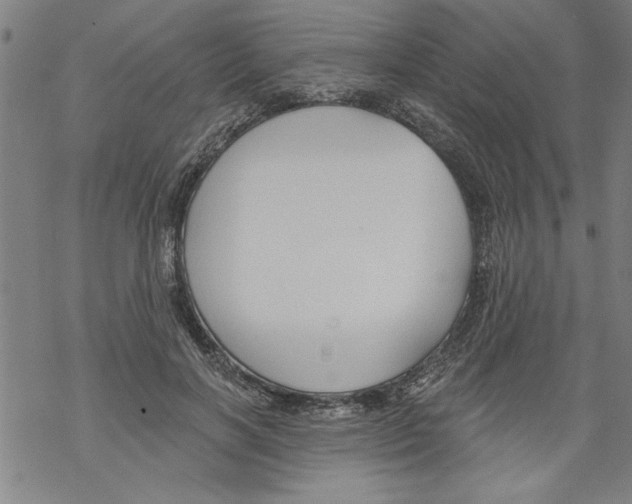 X0000067510646200605051830