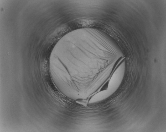 X0000067510650200605051830