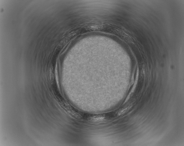 X0000067510651200605051830