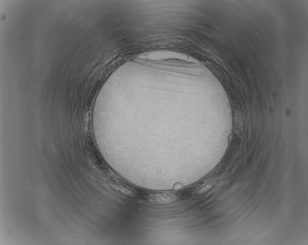 X0000067510652200605051830