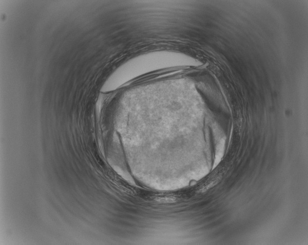 X0000067510653200605051830