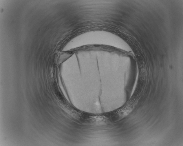 X0000067510654200605051830