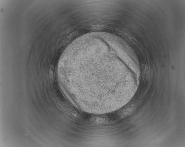 X0000067510655200605051830