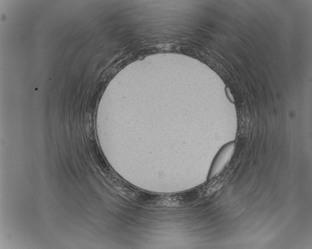 X0000067510656200605051830