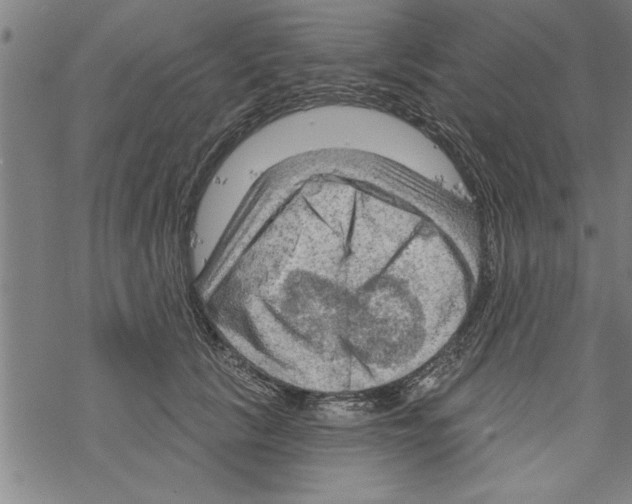 X0000067510657200605051830