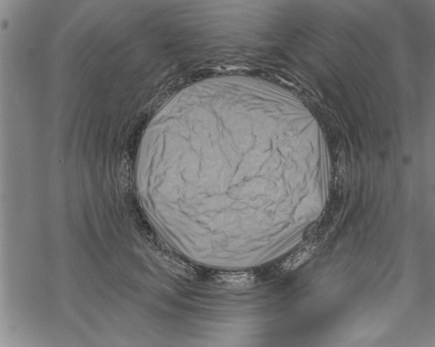 X0000067510659200605051830