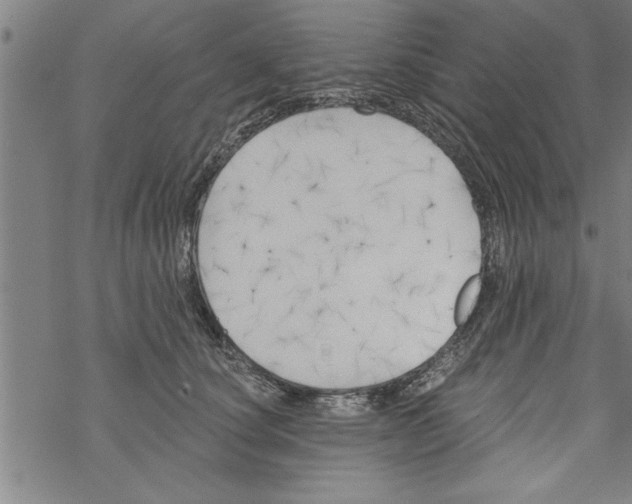 X0000067510660200605051830