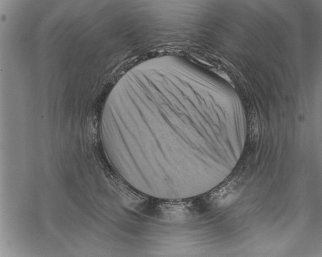 X0000067510661200605051830