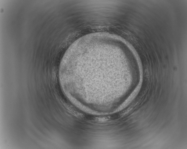 X0000067510662200605051830