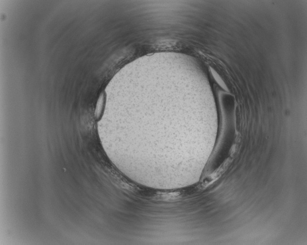 X0000067510665200605051830