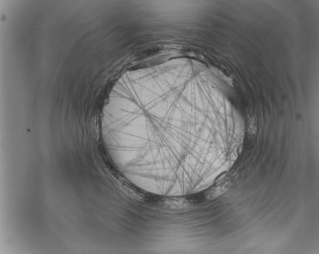 X0000067510666200605051830