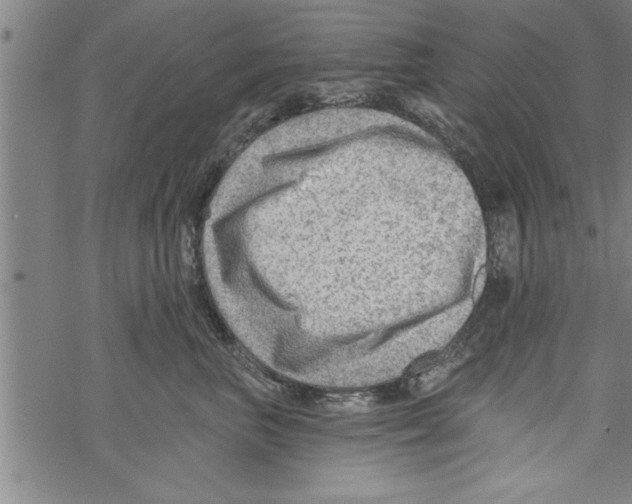 X0000067510667200605051830