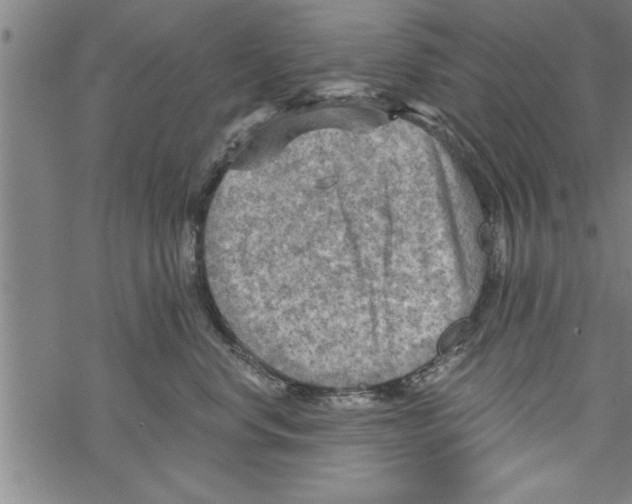 X0000067510668200605051830