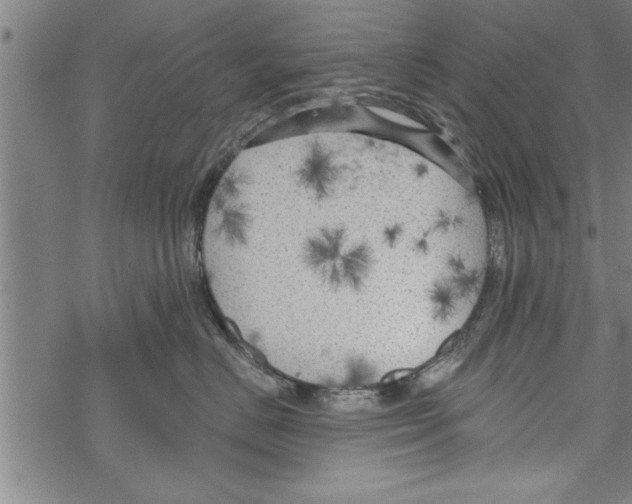 X0000067510670200605051830