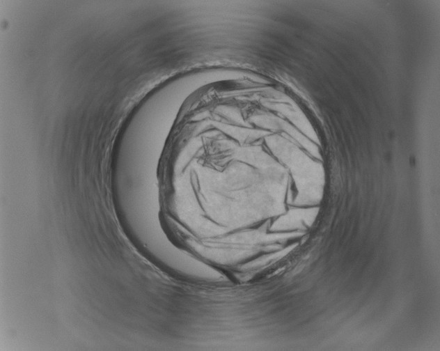 X0000067510673200605051830