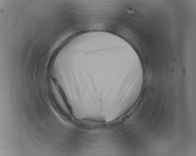 X0000067510674200605051830