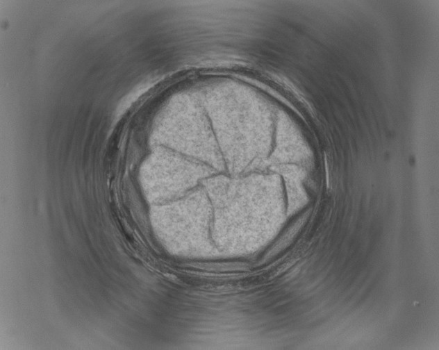 X0000067510675200605051830