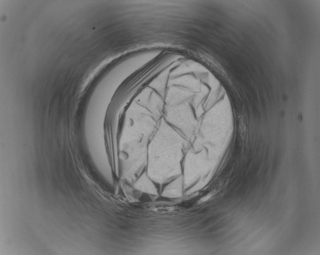 X0000067510676200605051830