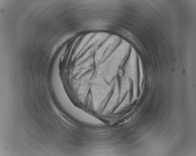 X0000067510677200605051830