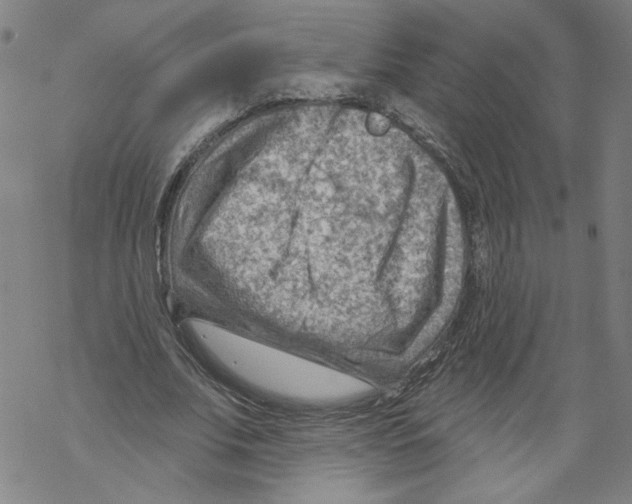 X0000067510679200605051830