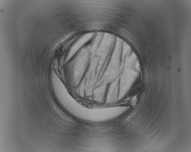 X0000067510681200605051830