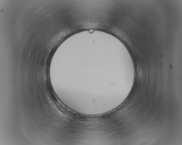 X0000067510682200605051830