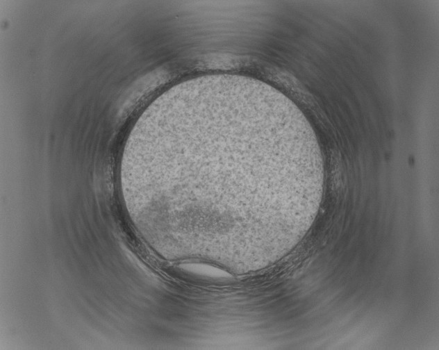 X0000067510683200605051829