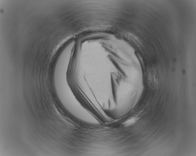 X0000067510684200605051829