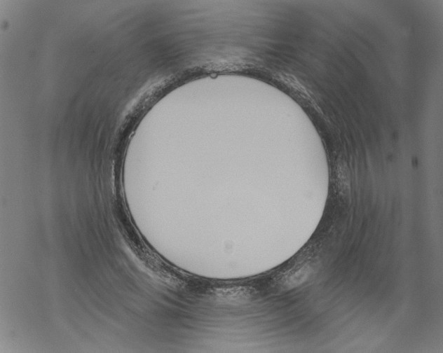 X0000067510686200605051829