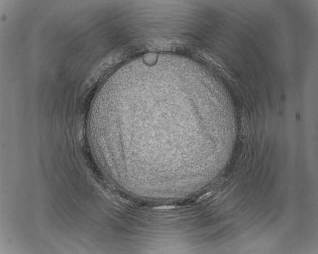 X0000067510687200605051829