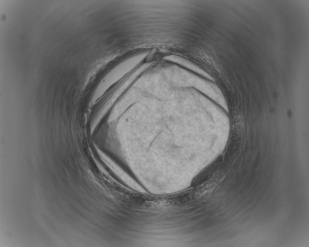 X0000067510688200605051829