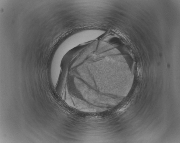 X0000067510689200605051829