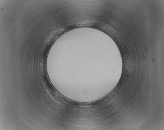 X0000067510690200605051829