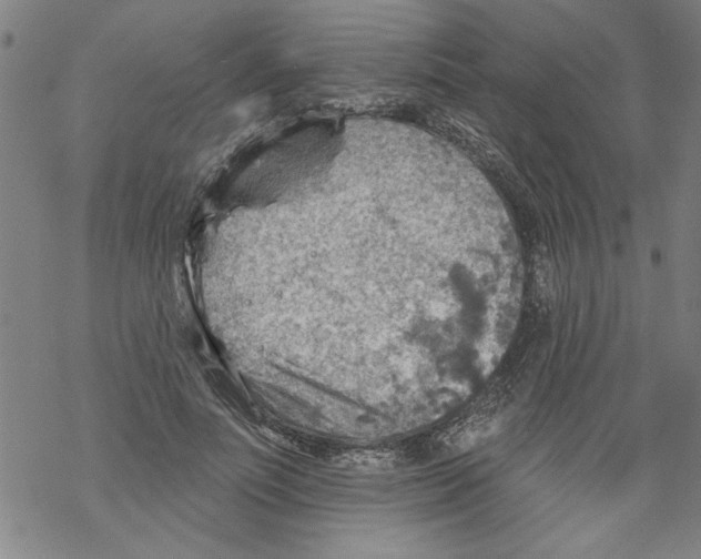 X0000067510691200605051829