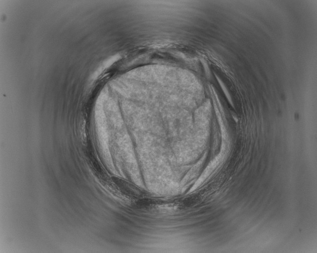 X0000067510692200605051829