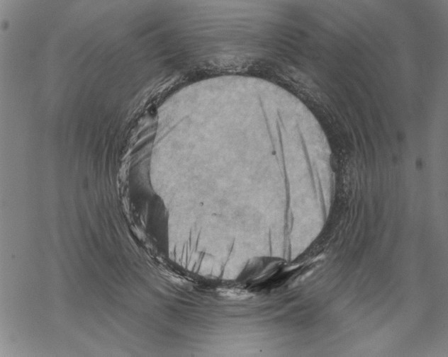 X0000067510693200605051829