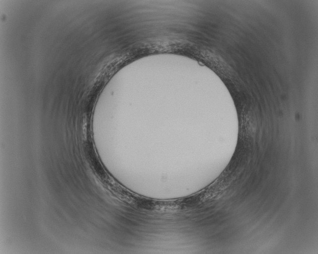 X0000067510694200605051829