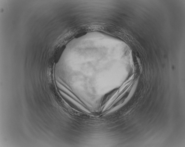 X0000067510696200605051829