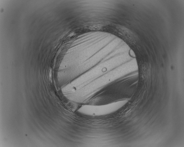 X0000067510697200605051829