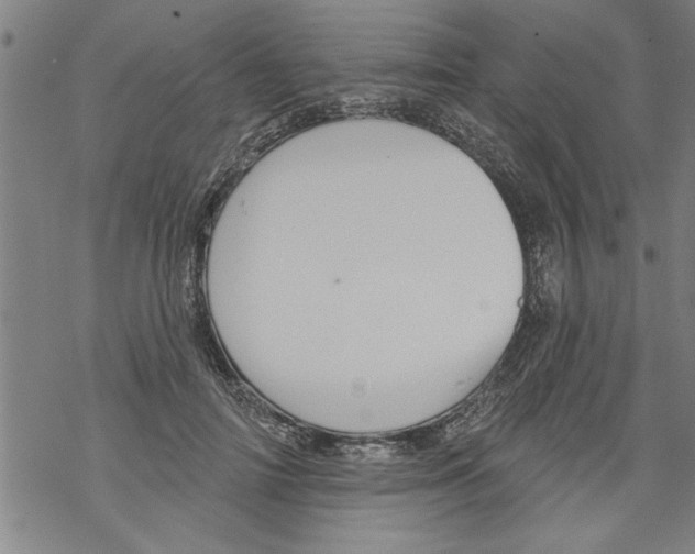 X0000067510698200605051829