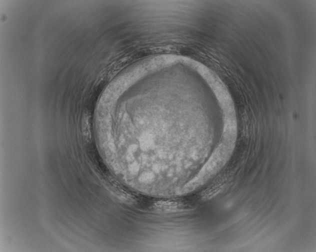 X0000067510699200605051829