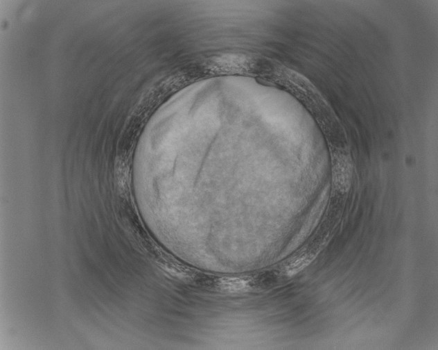 X0000067510701200605051829