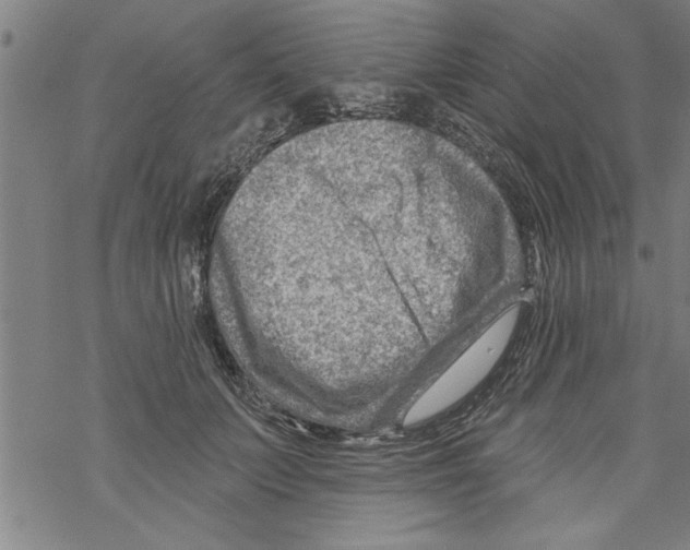 X0000067510703200605051829