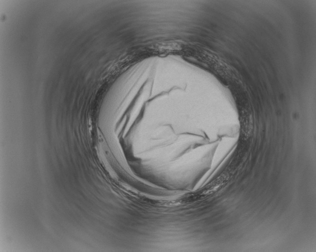 X0000067510704200605051829