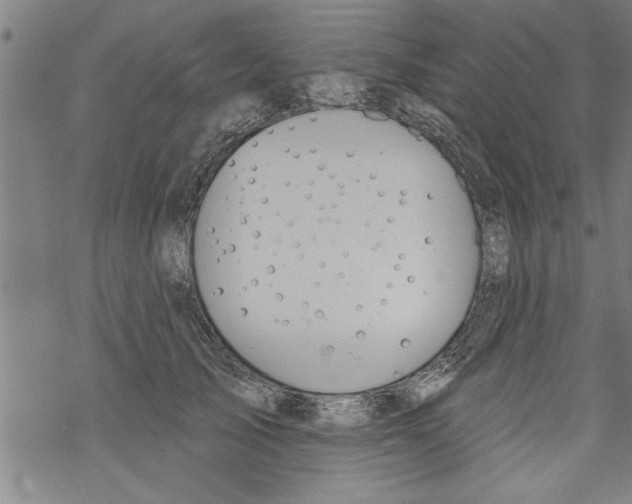 X0000067510705200605051829