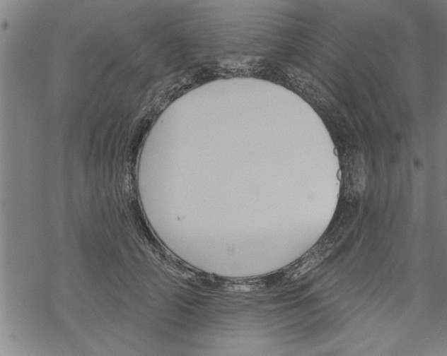 X0000067510706200605051829