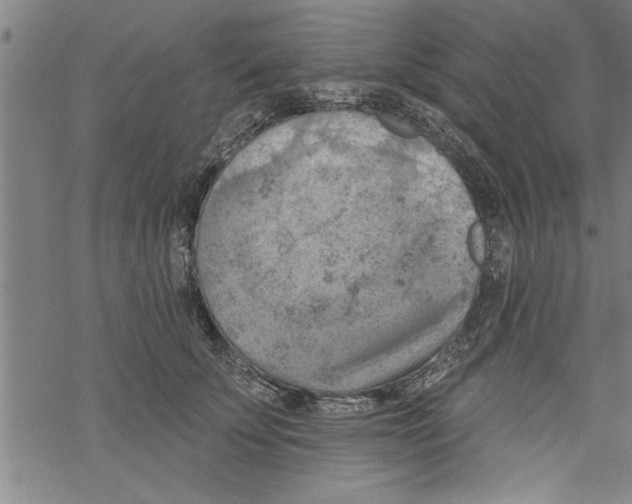 X0000067510707200605051829