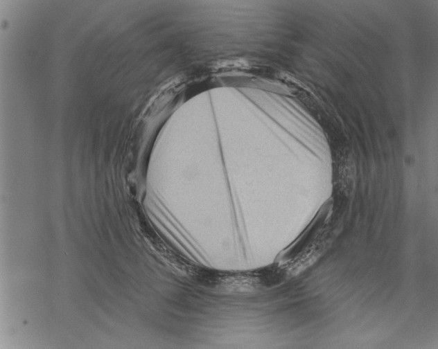 X0000067510708200605051829